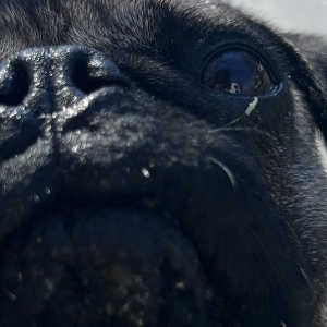 Fundraising Page: Lizzy Nieves